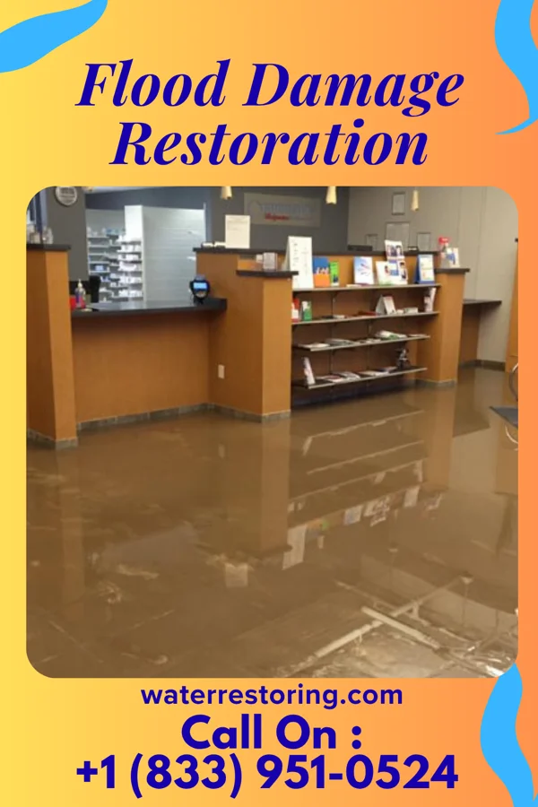 Flood Damage Restoration in Loch Lynn Heights, MD