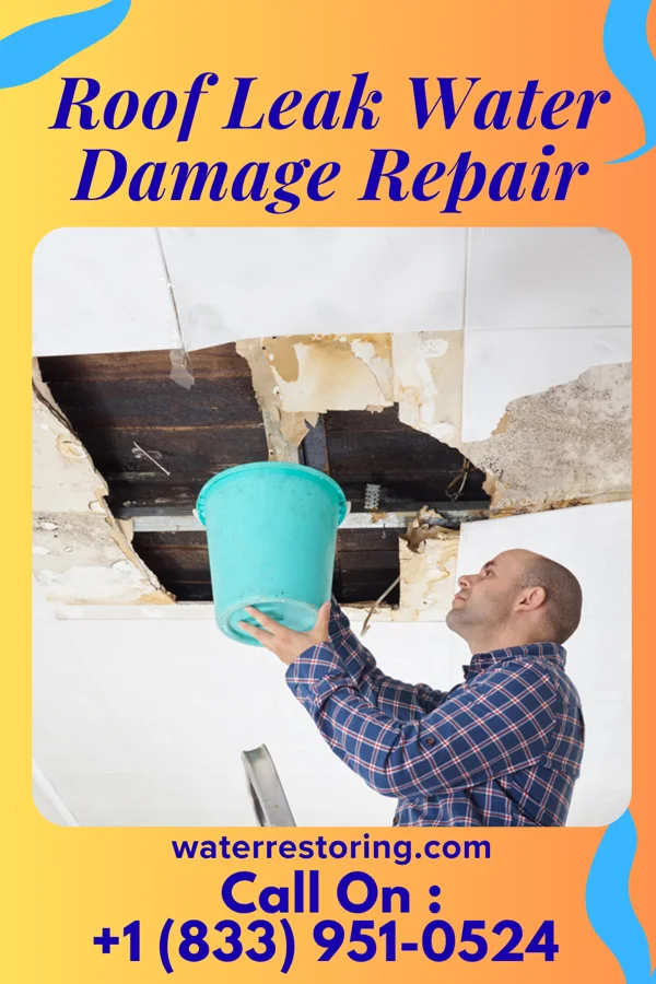 Roof Leak Water Damage Repair in Loch Lynn Heights, MD