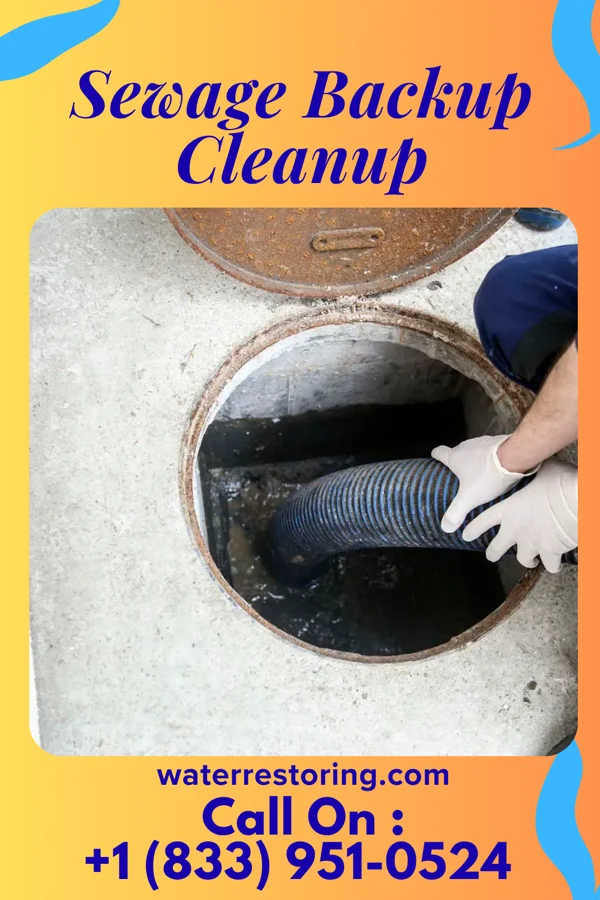 Sewage Backup Cleanup in Loch Lynn Heights, MD