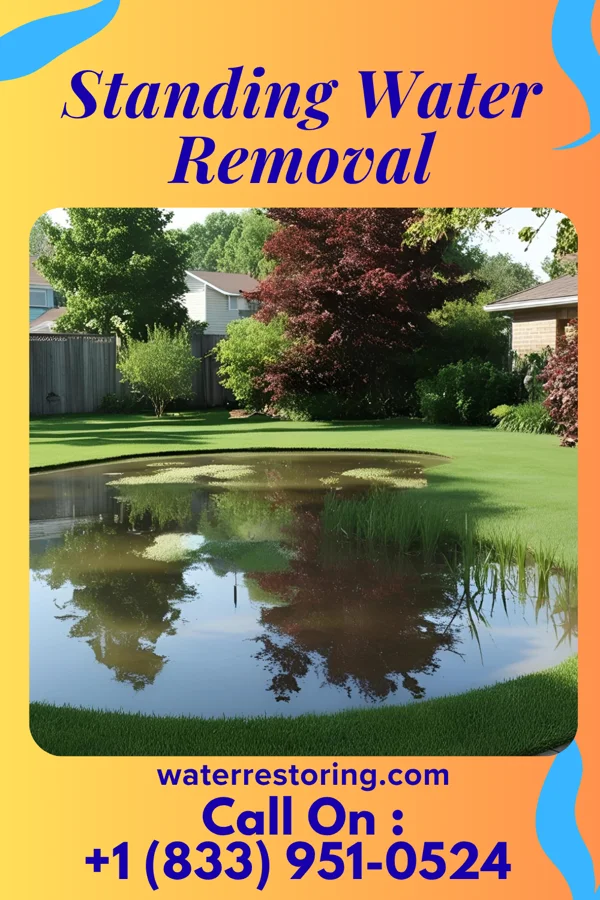 Standing Water Removal in Loch Lynn Heights, MD